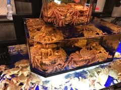 -蟹道乐(道顿堀本店)