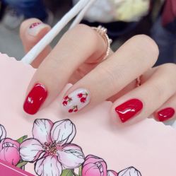 -BELLAREAL新美社