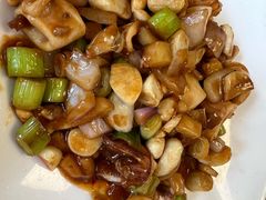 红烧鱿鱼-杨记海鲜楼