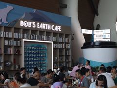 -抱抱地球咖啡馆(国家海洋博物馆店)