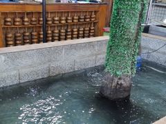 -高家小院铁锅炖大鹅(哈西高铁站店)