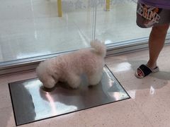 -帕帕拉兹宠物(亚洲旗舰店)