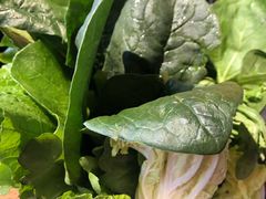 -小龙坎老火锅(北京三里屯店)