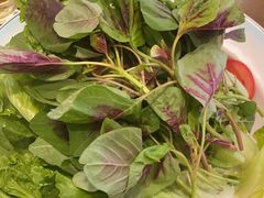 -菌乡缘·野生菌蒸汽鱼火锅(江边夜市店)