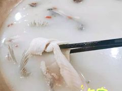 养生清汤锅-颜氏双江清水鱼一养身火锅(磁器口店)