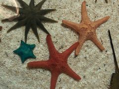 -福州罗源湾海洋世界旅游区