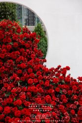 -北京嘉里大酒店·宴会厅婚宴·户外婚礼·生日宴