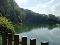 -王借岗森林公园