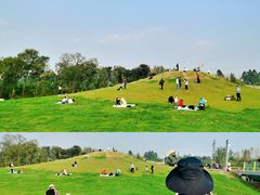 -白鹭湾湿地公园