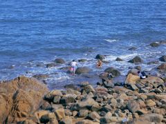 -洞背山庄(洞背院区式管理小区店)