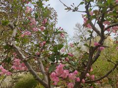 -元大都城垣遗址公园