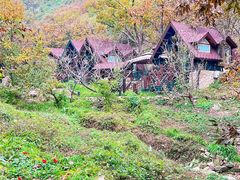 -北京水岸山吧度假村(雁栖镇店)