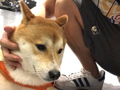 -YCHL Studios健身工作室(市二宫店)