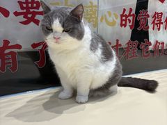 -鹏欣水游城