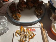 -杨氏青龙虾·羊蝎子(托乐嘉店)