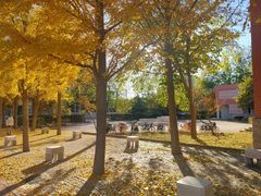 -中国石油大学（北京）(北京西校区)