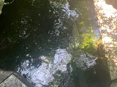 -青青世界