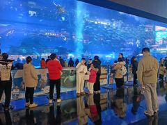 -成都浩海立方海洋公园