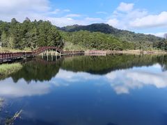 -海南热带雨林国家公园吊罗山景区