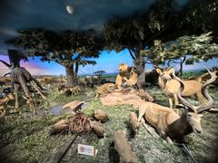 -国家自然博物馆