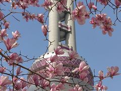 -东方明珠广播电视塔