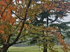 -河南省黄河迎宾馆