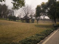-堤角公园