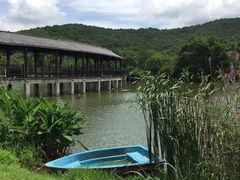 -石塘人家