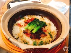 -旺小胖小龙虾