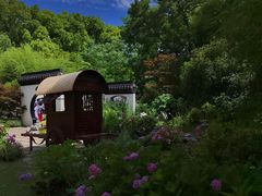 -上海共青森林公园