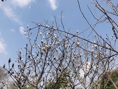 -成都杜甫草堂博物馆