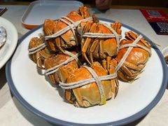 -杨氏青龙虾·羊蝎子(金盛路总店)