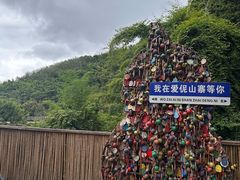 -西双版纳原始森林公园
