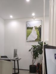 -北遇映画PHOTO GRAPHY STUDIO