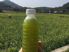 -红山村