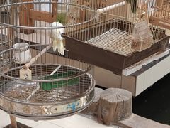 -新世纪绿洲(抚顺店)