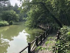 -宝岩生态观光园