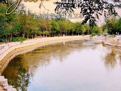 -绿岛公园(滨海新区)