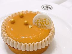 -TWG Tea(台北101购物中心沙龙及精品门市)