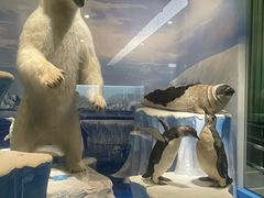 -国家自然博物馆