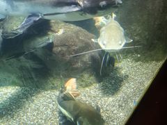 -太平洋海底世界