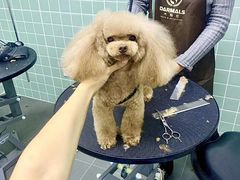 -哈尼爱宠·宠物生活会馆