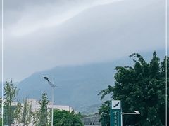 -重庆自然博物馆(新馆)