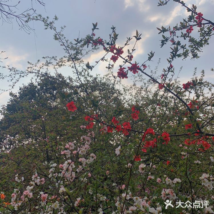 成都植物园