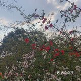 成都植物园