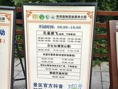 -西双版纳原始森林公园
