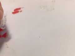 -BLACKSWAN黑天鹅(环球店)