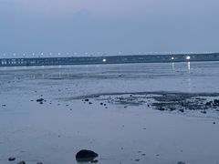 -宝安西湾红树林湿地公园