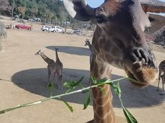 -杭州野生动物世界