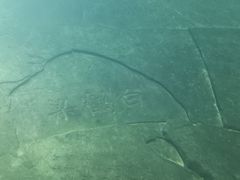 -白鹤梁水下博物馆